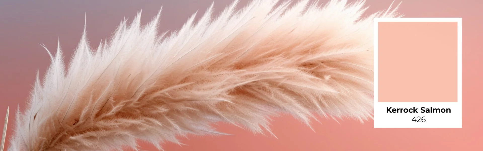 Kerrock colour trends in 2024